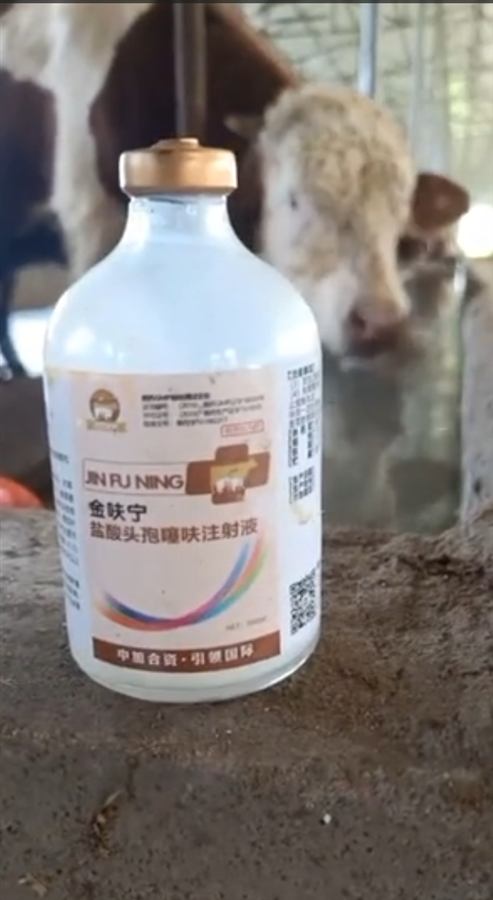 Farm and dealer health story 7