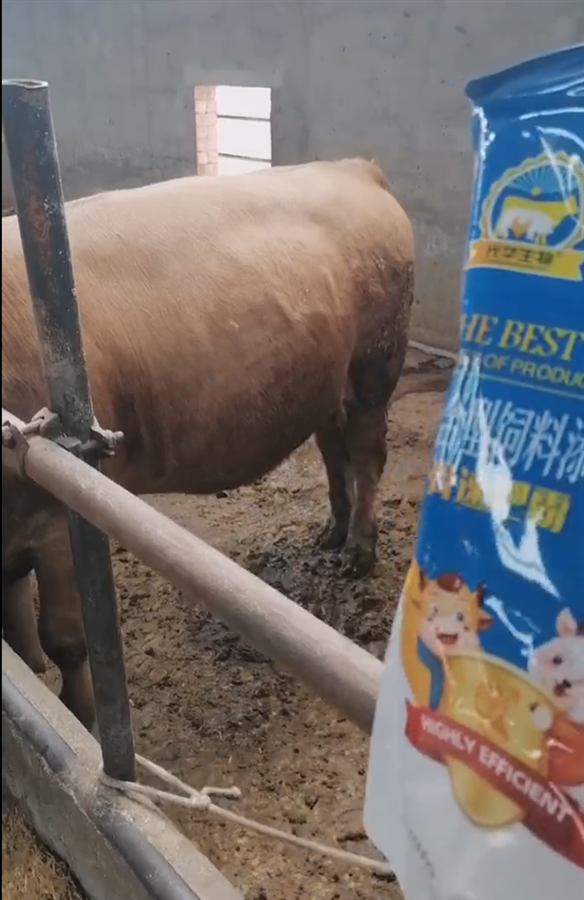 Farm and dealer health story 20
