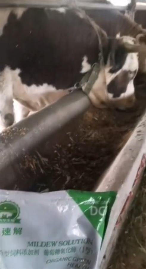 Farm and dealer health story 25