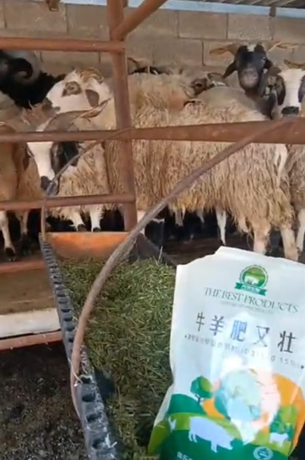 Farm and dealer health story 26