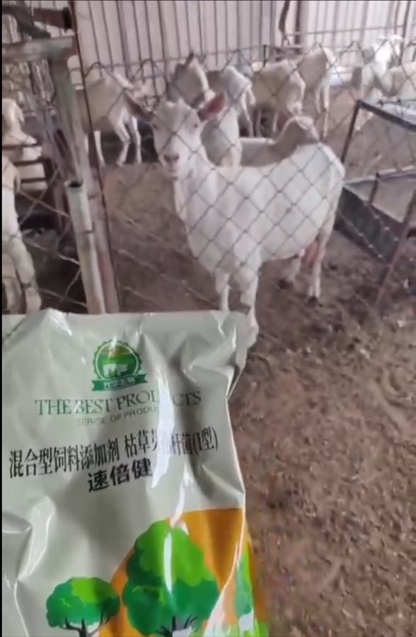 Farm and dealer health story 29