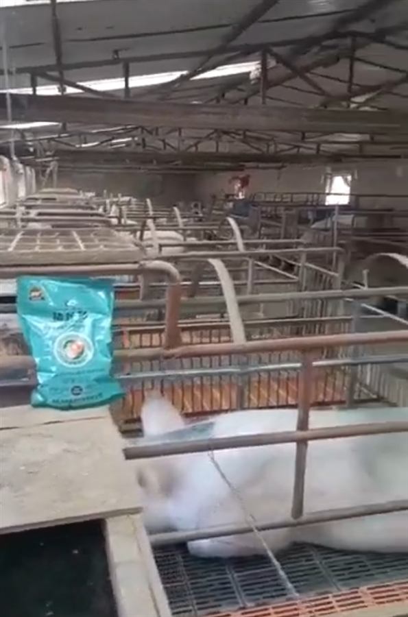 Farm and dealer health story 40