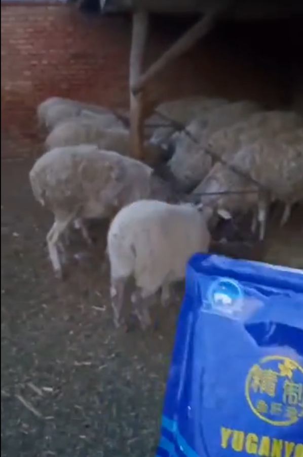 Farm and dealer health story 42