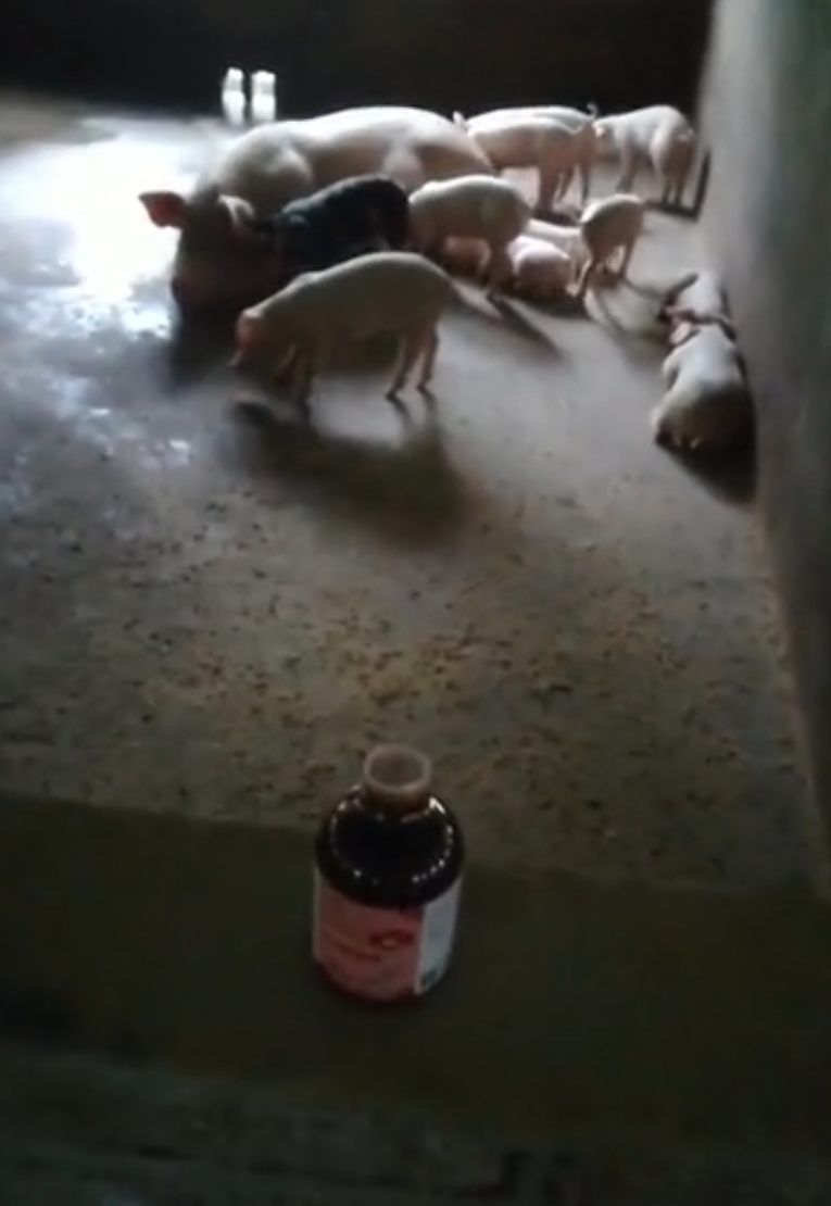 Farm and dealer health story 74